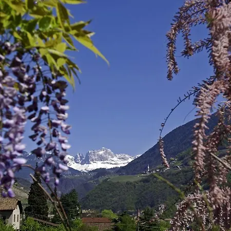 Hotel Rentschnerhof