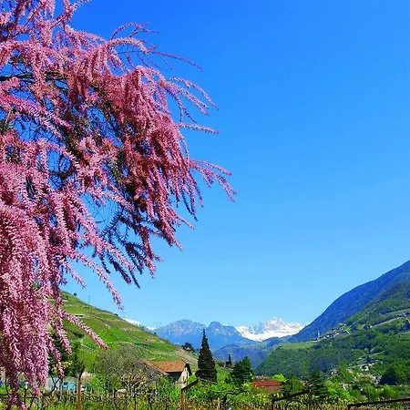 Rentschnerhof Hotel 3*